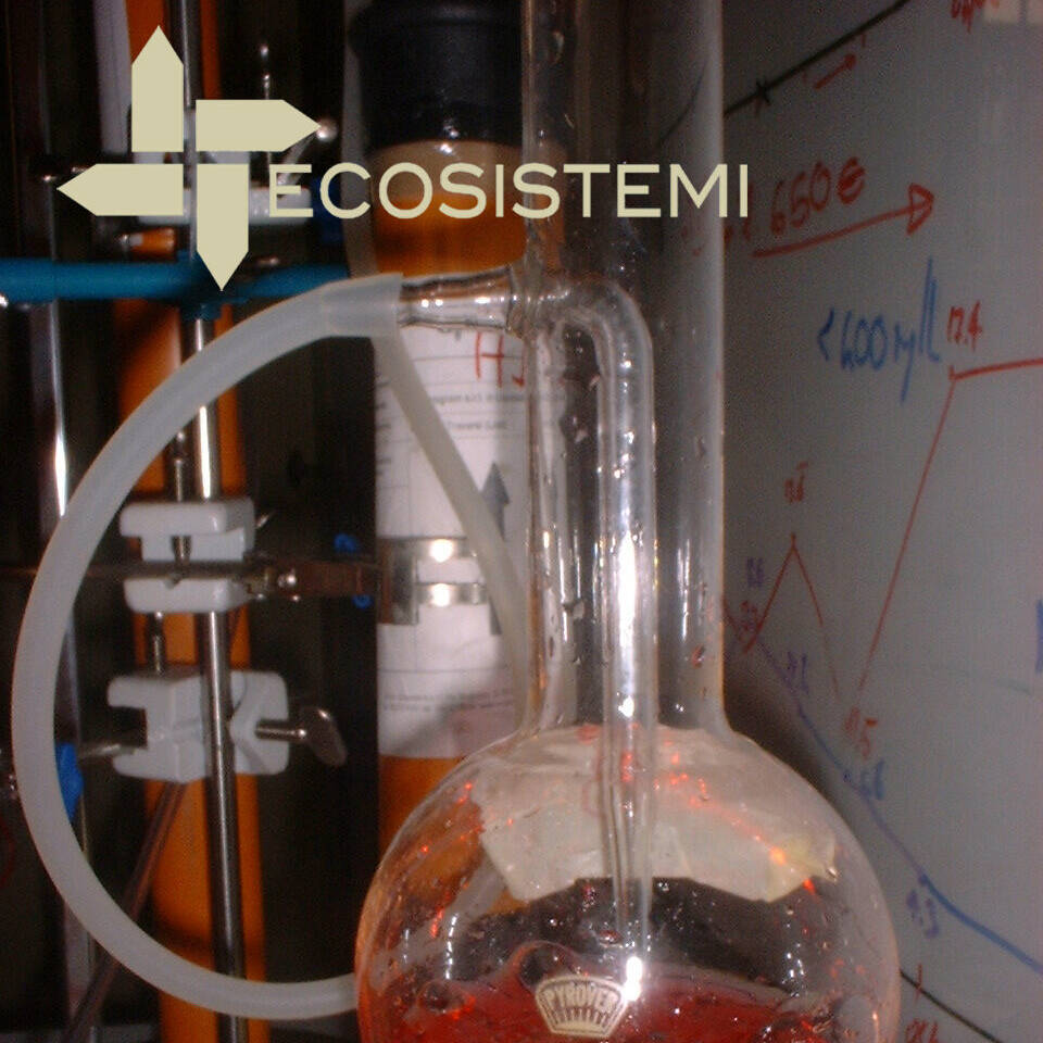 4 Laboratorio Ecosistemi Piacenza impianto pilota e1744993573912 uai DISCUSSIONE TESI DI LAUREA SUL RISANAMENTO DI SUOLI ED ACQUE CONTAMINATI DA SOLFATO AMMONICO ECOSISTEMI