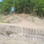 DSC 0585 INTERVENTI SPERIMENTALI DI RINATURALIZZAZIONE DI UN’AREA DEGRADATA NOVARA (Vicolungo) ECOSISTEMI