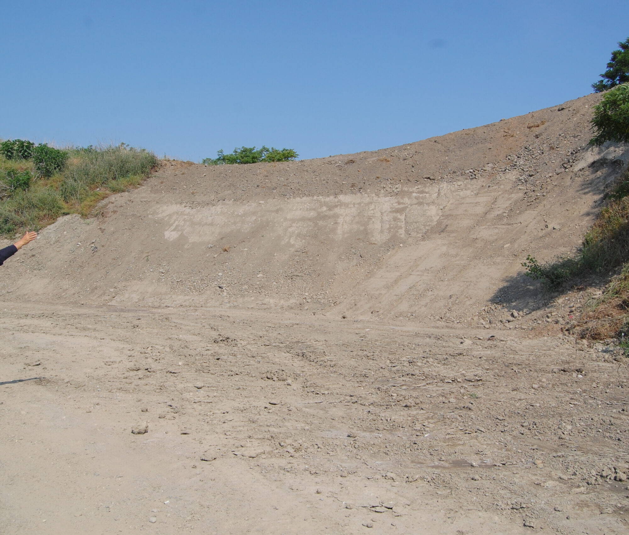 DSC 0587 scaled uai IMPEGO DEI SUOLI RICOSTITUITI NELL'AREA DI VICOLUNGO (NO) CON IL PROGETTO DELL'UNIVERSITÀ DI TORINO ECOSISTEMI
