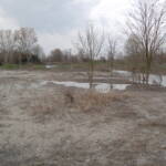 DSC 0835 AGGIUDICATA PER L'ESECUZIONE DELL'OPERA DI RIPRISTINO AGRO-AMBIENTALE DELL'AREA BORGHETTO ECOSISTEMI