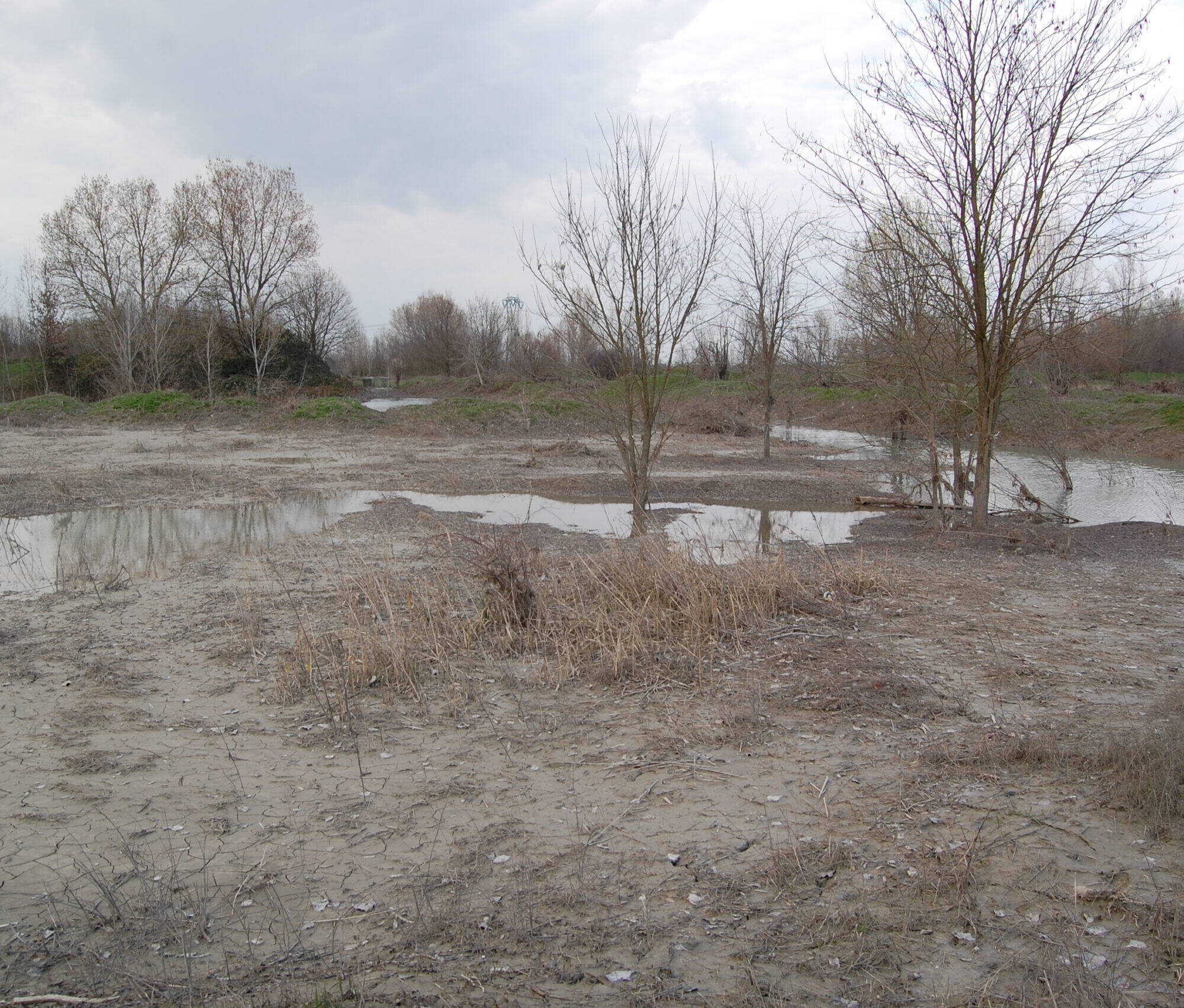 DSC 0835 scaled uai AGGIUDICATA PER L'ESECUZIONE DELL'OPERA DI RIPRISTINO AGRO-AMBIENTALE DELL'AREA BORGHETTO ECOSISTEMI