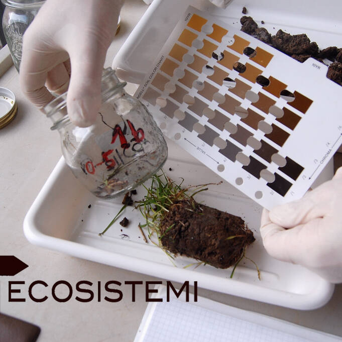 Педологический анализ почвы Ecosistemi Пьяченца уай КОНФЕРЕНЦИЯ ИТАЛЬЯНСКОГО ОБЩЕСТВА НАУКИ ПОЧВ - BOLZANO ECOSISTEMI