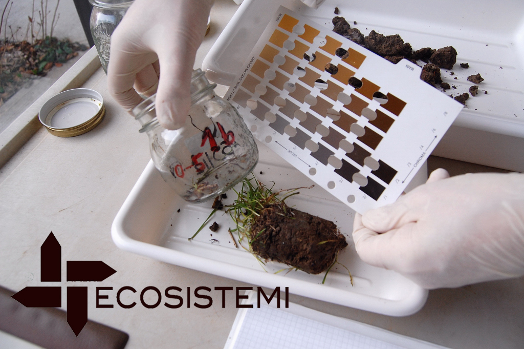 Pedologia analisi terreni Ecosistemi Piacenza Pedologia analisi terreni Ecosistemi Piacenza CONVEGNO DELLA SOCIETÀ ITALIANA SCIENZE DEL SUOLO – BOLZANO Pedologia analisi terreni Ecosistemi Piacenza Pedologia analisi terreni Ecosistemi Piacenza ECOSISTEMI