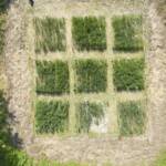 30630f3a bcb4 4aa8 bb06 9db11928e911 RICERCA SUI SEDIMENTI PROVENIENTI DA UN INVASO NATURALE PER LA PRODUZIONE DI ANTROPOSUOLI (SUOLI RICOSTITUITI) ECOSISTEMI - UNIVERSITÀ CATTOLICA PIACENZA (FACOLTÀ DI AGRARIA) ECOSISTEMI