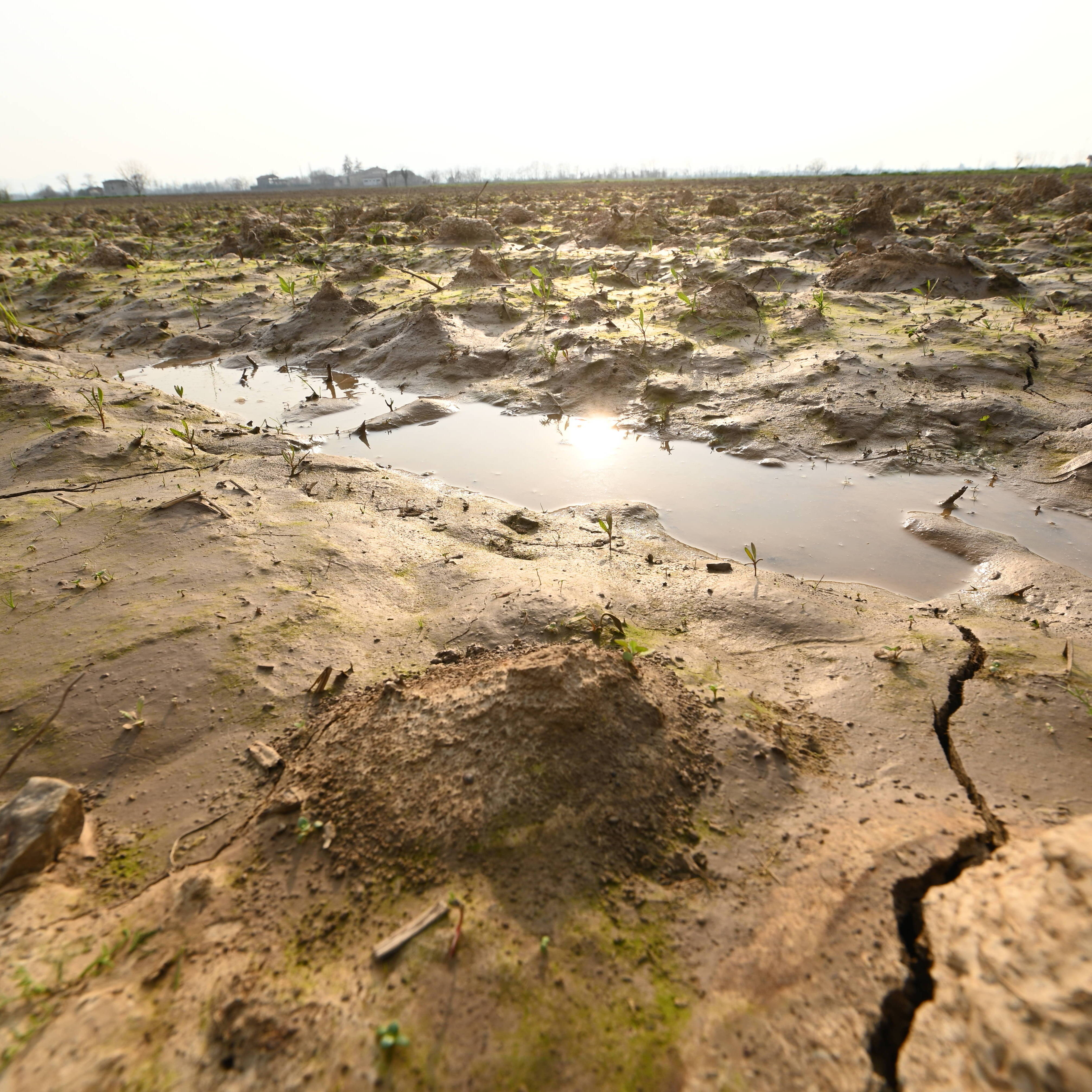 DSC 5470 rotated uai TAVOLA ROTONDA "L'IMPATTO DEGLI EVENTI ALLUVIONALI SULLA QUALITÀ DEI SUOLI E SULLA GESTIONE COLTURALE DELLE AZIENDE AGRICOLE ROMAGNOLE: RIPRISTINARE E BONIFICARE OGGI PER IL DOMANI" ECOSISTEMI