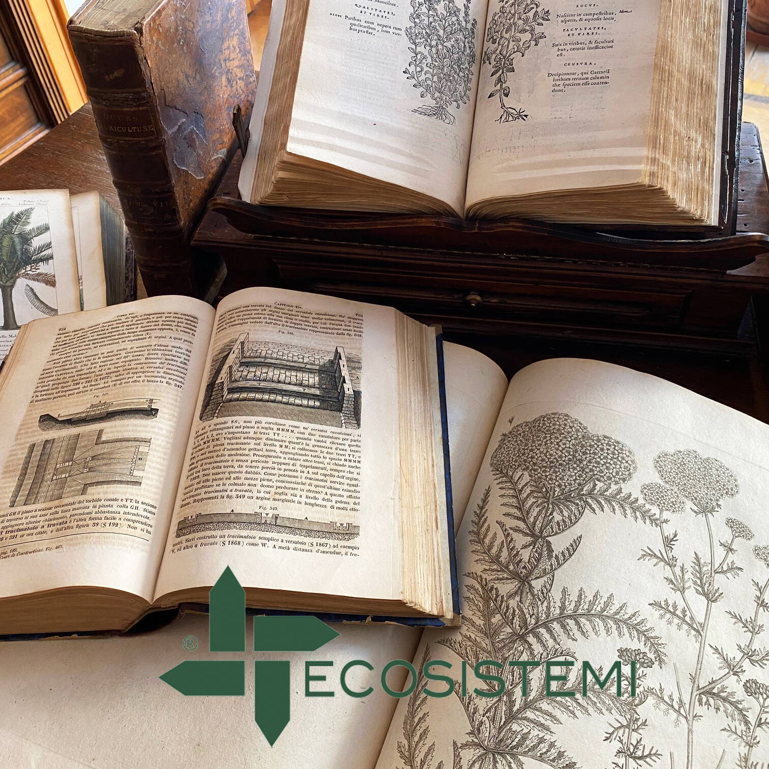 Ecosistemi Piacenza fondo antico libri bibliofilia antiquaria uai ISTITUZIONE DEL FONDO ANTICO BIBLIOTECARIO DELLE SCIENZE NATURALI ED AGRARIE NELLA SEDE DI ECOSISTEMI ECOSISTEMI
