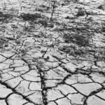 IMG 4669 1 PRESENTAZIONE DELLE PROPOSTE SUL RECUPERO DEI TERRENI ALLUVIONATI IN ROMAGNA MEDIANTE LA TECNICA DEI SUOLI RICOSTITUITI AL CONVEGNO: “L’AGRICOLTURA DEL POST-ALLUVIONE” ECOSISTEMI