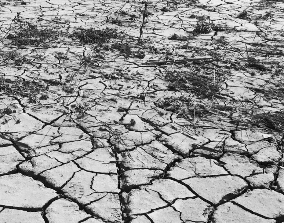 IMG 4669 1 scaled uai PRESENTAZIONE DELLE PROPOSTE SUL RECUPERO DEI TERRENI ALLUVIONATI IN ROMAGNA MEDIANTE LA TECNICA DEI SUOLI RICOSTITUITI AL CONVEGNO: “L’AGRICOLTURA DEL POST-ALLUVIONE” ECOSISTEMI