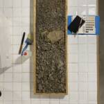 IMG 4773 MONOLITE DI SUOLO RICOSTITUITO, PRODOTTO DA ECOSISTEMI, VERRÀ ESPOSTO AL MUSEO MONDIALE DEL SUOLO DI WAGENINGEN ECOSISTEMI