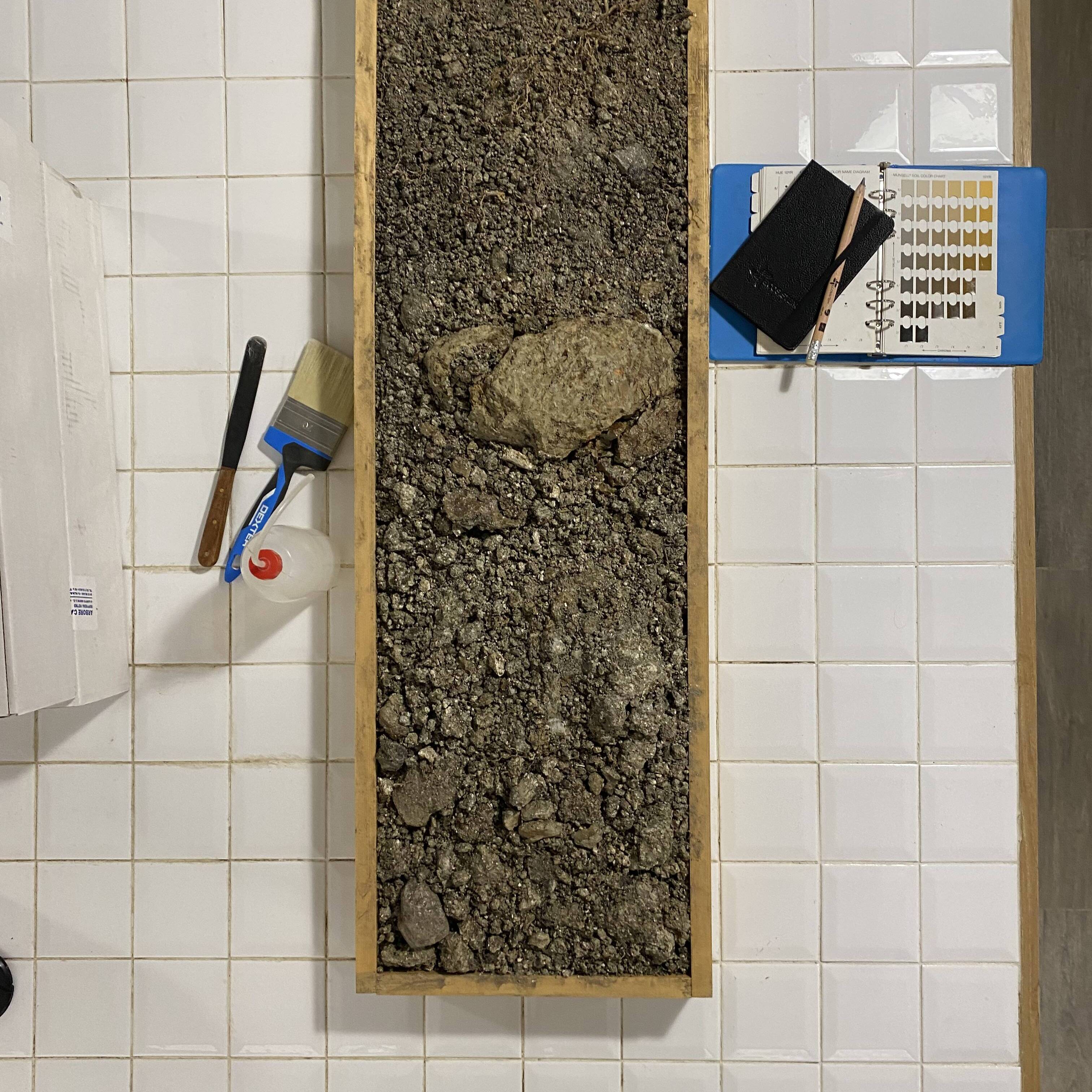 IMG 4773 rotated uai MONOLITE DI SUOLO RICOSTITUITO, PRODOTTO DA ECOSISTEMI, VERRÀ ESPOSTO AL MUSEO MONDIALE DEL SUOLO DI WAGENINGEN ECOSISTEMI