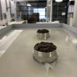 IMG 4838 TESI DI LAUREA UNIVERSITÀ DI TORINO – ECOSISTEMI: RECUPERO DI AREE DEGRADATE MEDIANTE IMOBSCHIMENTO SU SUOLO RICOSTITUITO ECOSISTEMI