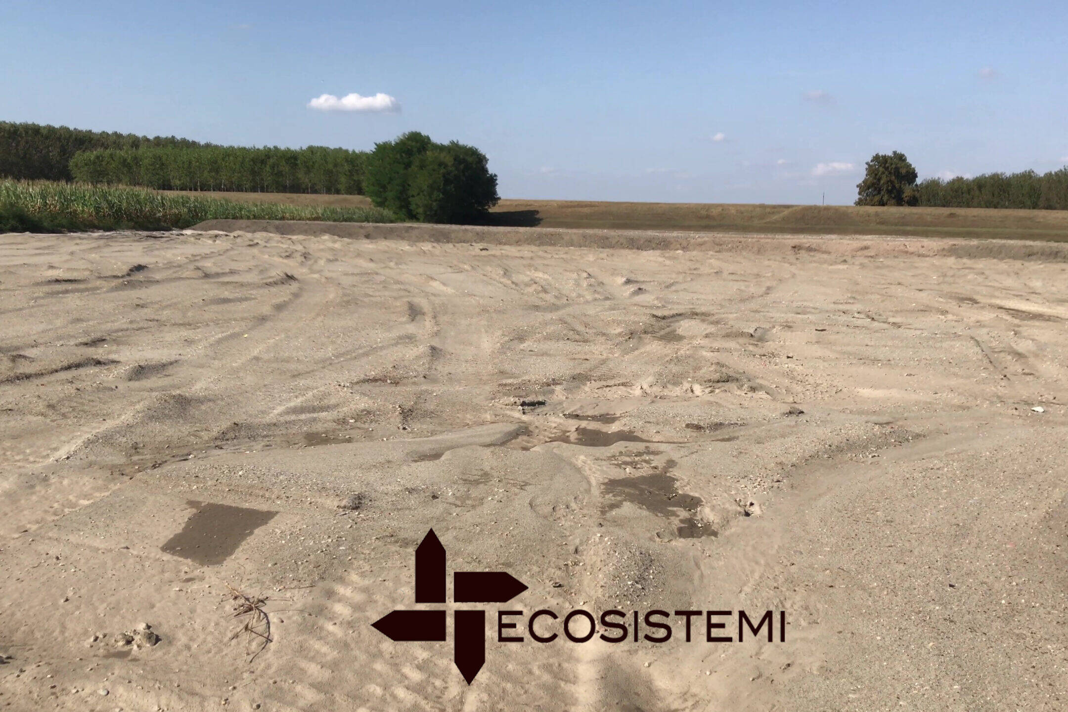 Ricostituzione suoli sabbiosi Ecosistemi Piacenza scaled uai AUTORIZZAZIONE SECONDA CAMPAGNA AREA BOSCO PONTONE – AVVIO NUOVO INTERVENTO DI MIGLIORAMENTO AGRONOMICO ECOSISTEMI