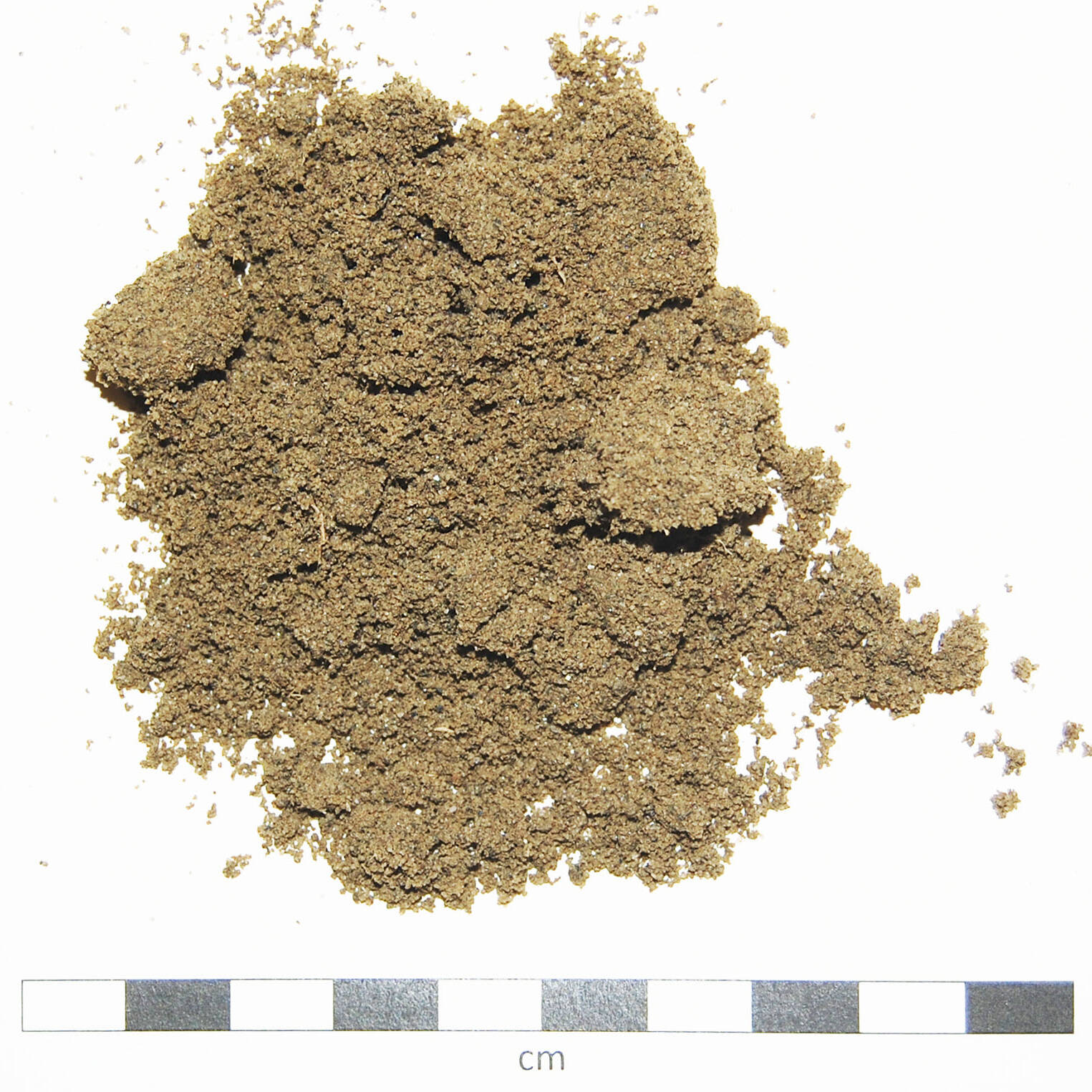 Soil sand degraded suolo sabbioso degradato Piacenza ripristino земля uai Soil sand degraded suolo sabbioso degradato Piacenza ripristino земля 22. Ricerca e sviluppo 2019 – 2020 Ricerca e sviluppo Soil sand degraded suolo sabbioso degradato Piacenza ripristino земля uai Soil sand degraded suolo sabbioso degradato Piacenza ripristino земля ECOSISTEMI Ricerca e sviluppo
