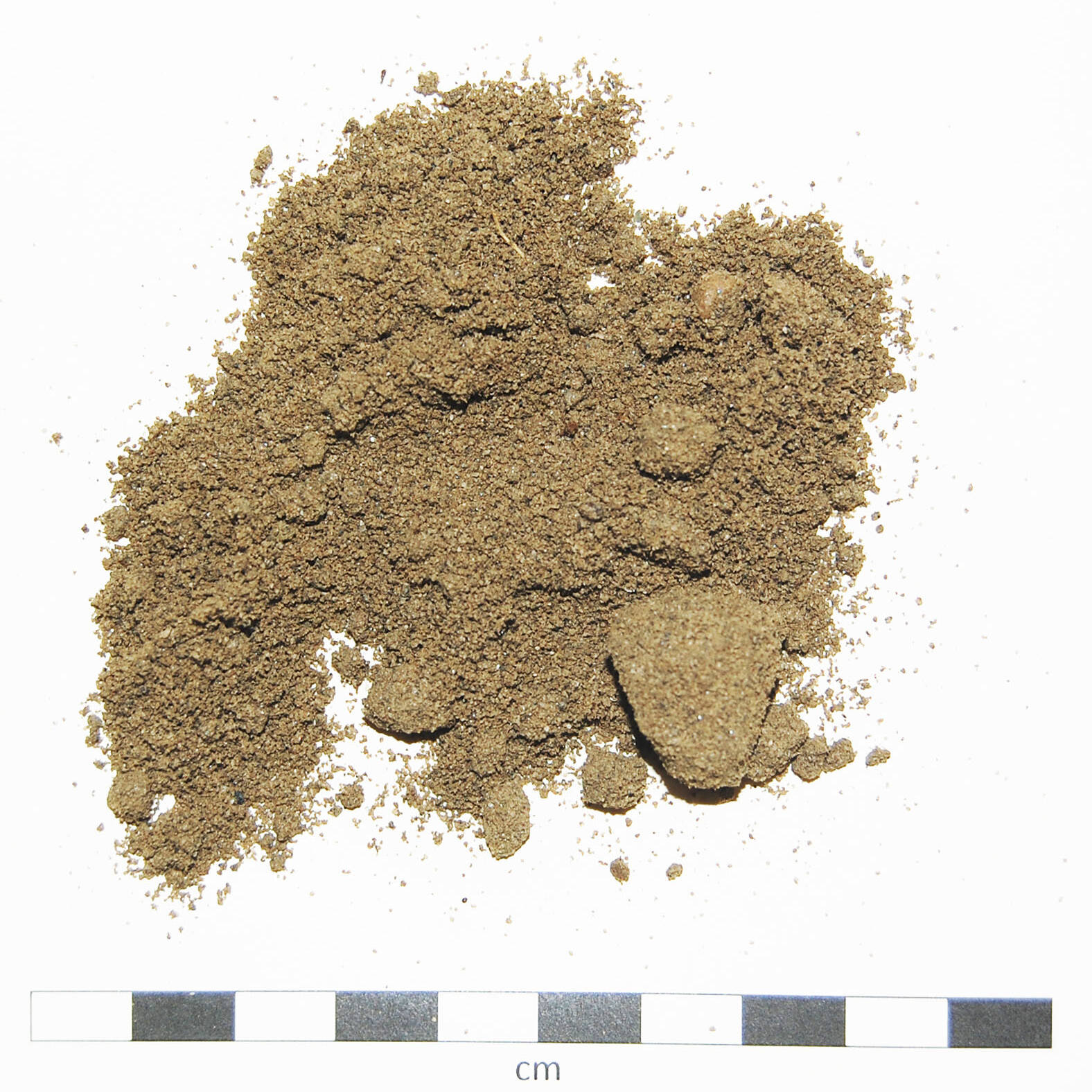 Soil sand degraded suolo sabbioso degradato Piacenza Мелиорация uai Soil sand degraded suolo sabbioso degradato Piacenza Мелиорация 22. Ricerca e sviluppo 2019 – 2020 Ricerca e sviluppo Soil sand degraded suolo sabbioso degradato Piacenza Мелиорация uai Soil sand degraded suolo sabbioso degradato Piacenza Мелиорация ECOSISTEMI Ricerca e sviluppo