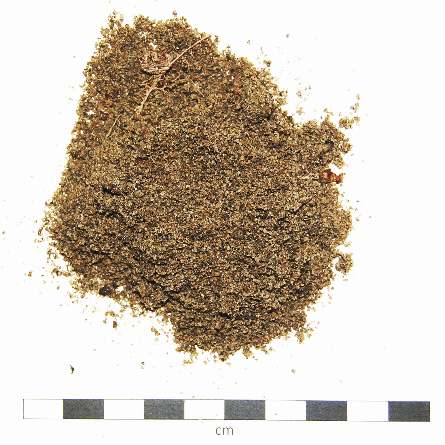 Soil sand degraded suolo sabbioso degradato laboratorio analisi опустынивание uai Soil sand degraded suolo sabbioso degradato laboratorio analisi опустынивание 22. Ricerca e sviluppo 2019 – 2020 Ricerca e sviluppo Soil sand degraded suolo sabbioso degradato laboratorio analisi опустынивание uai Soil sand degraded suolo sabbioso degradato laboratorio analisi опустынивание ECOSISTEMI Ricerca e sviluppo