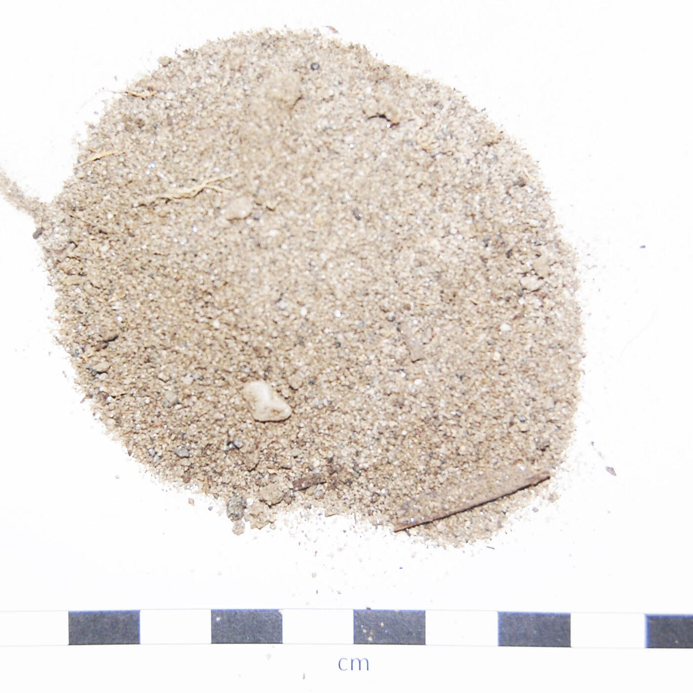 Soil sand degraded suolo sabbioso degradato laboratorio mcm Ecosistemi uai Soil sand degraded suolo sabbioso degradato laboratorio mcm Ecosistemi 22. Ricerca e sviluppo 2019 – 2020 Ricerca e sviluppo Soil sand degraded suolo sabbioso degradato laboratorio mcm Ecosistemi uai Soil sand degraded suolo sabbioso degradato laboratorio mcm Ecosistemi ECOSISTEMI Ricerca e sviluppo