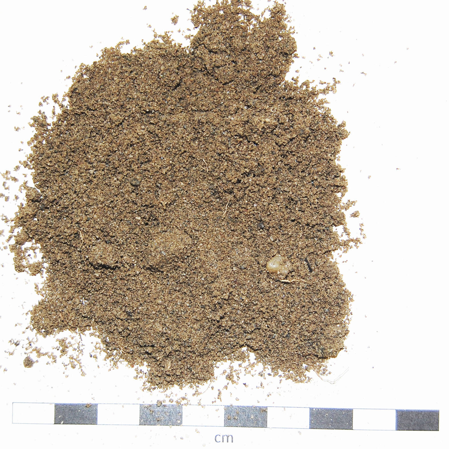 Soil sand degraded suolo sabbioso degradato mcm Ecosistemi uai Soil sand degraded suolo sabbioso degradato mcm Ecosistemi 22. Ricerca e sviluppo 2019 – 2020 Ricerca e sviluppo Soil sand degraded suolo sabbioso degradato mcm Ecosistemi uai Soil sand degraded suolo sabbioso degradato mcm Ecosistemi ECOSISTEMI Ricerca e sviluppo