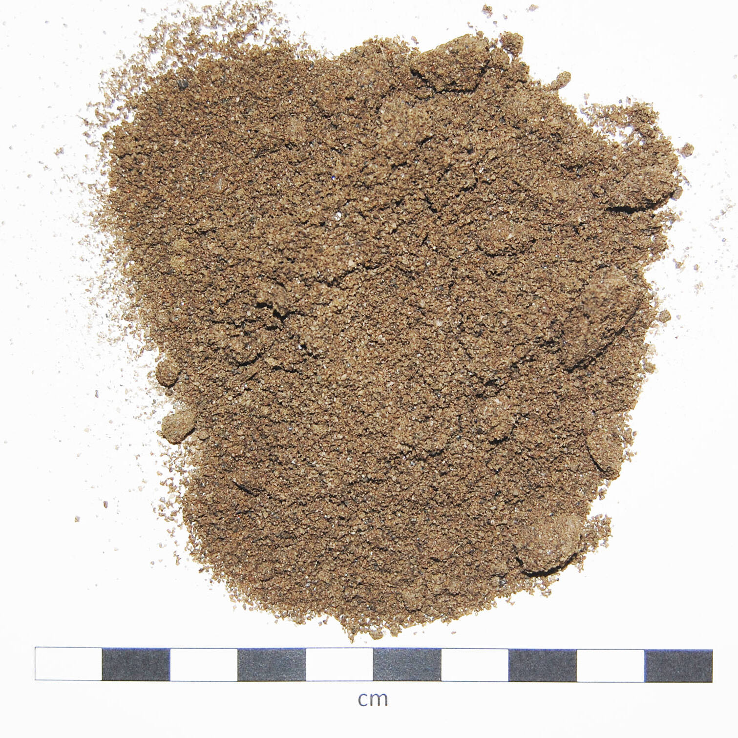 Soil sand degraded suolo sabbioso degradato mcm Ecosistemi استصلاح uai Soil sand degraded suolo sabbioso degradato mcm Ecosistemi استصلاح 22. Ricerca e sviluppo 2019 – 2020 Ricerca e sviluppo Soil sand degraded suolo sabbioso degradato mcm Ecosistemi استصلاح uai Soil sand degraded suolo sabbioso degradato mcm Ecosistemi استصلاح ECOSISTEMI Ricerca e sviluppo