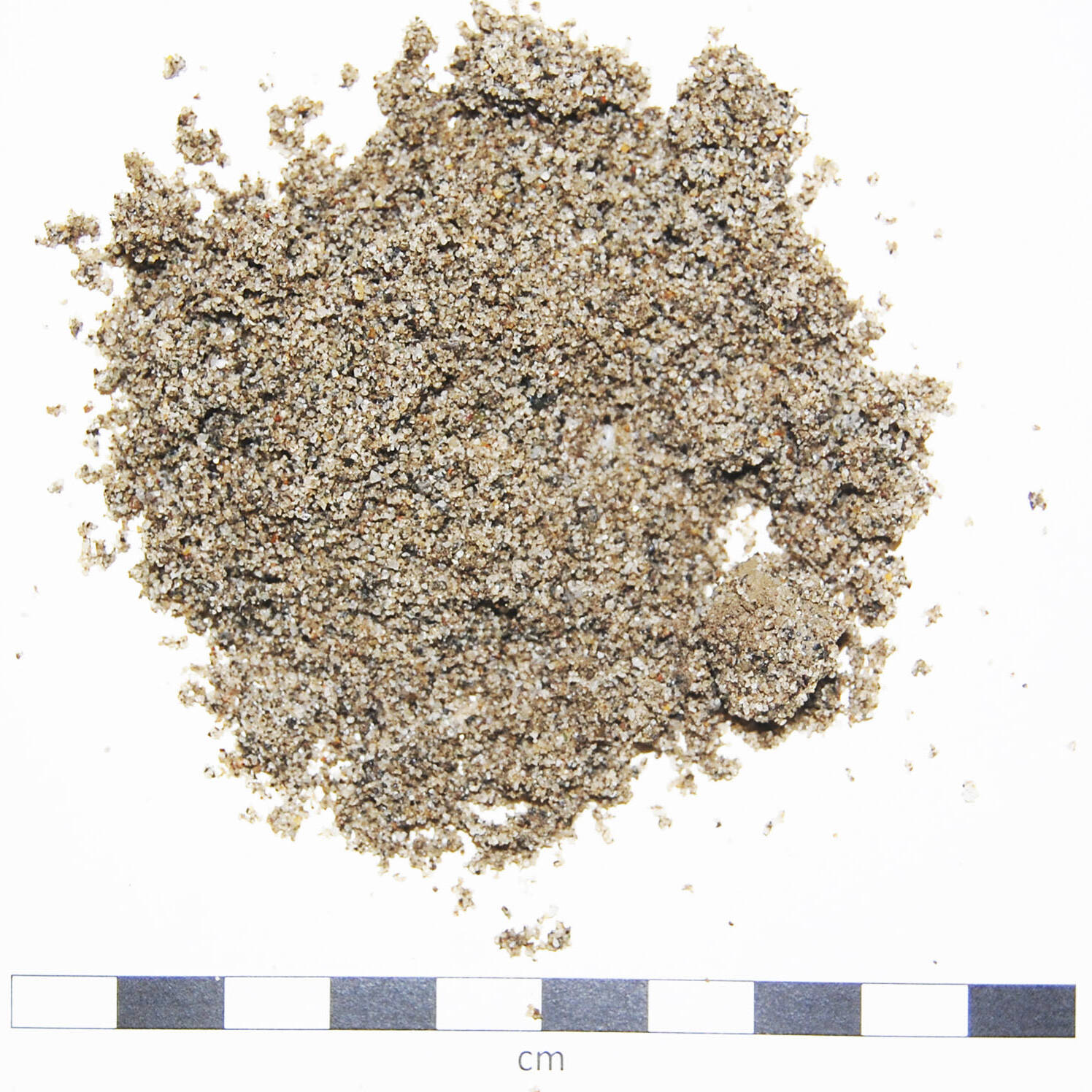 Soil sand degraded suolo sabbioso degradato mcm Ecosistemi التصحر uai Soil sand degraded suolo sabbioso degradato mcm Ecosistemi التصحر 22. Ricerca e sviluppo 2019 – 2020 Ricerca e sviluppo Soil sand degraded suolo sabbioso degradato mcm Ecosistemi التصحر uai Soil sand degraded suolo sabbioso degradato mcm Ecosistemi التصحر ECOSISTEMI Ricerca e sviluppo