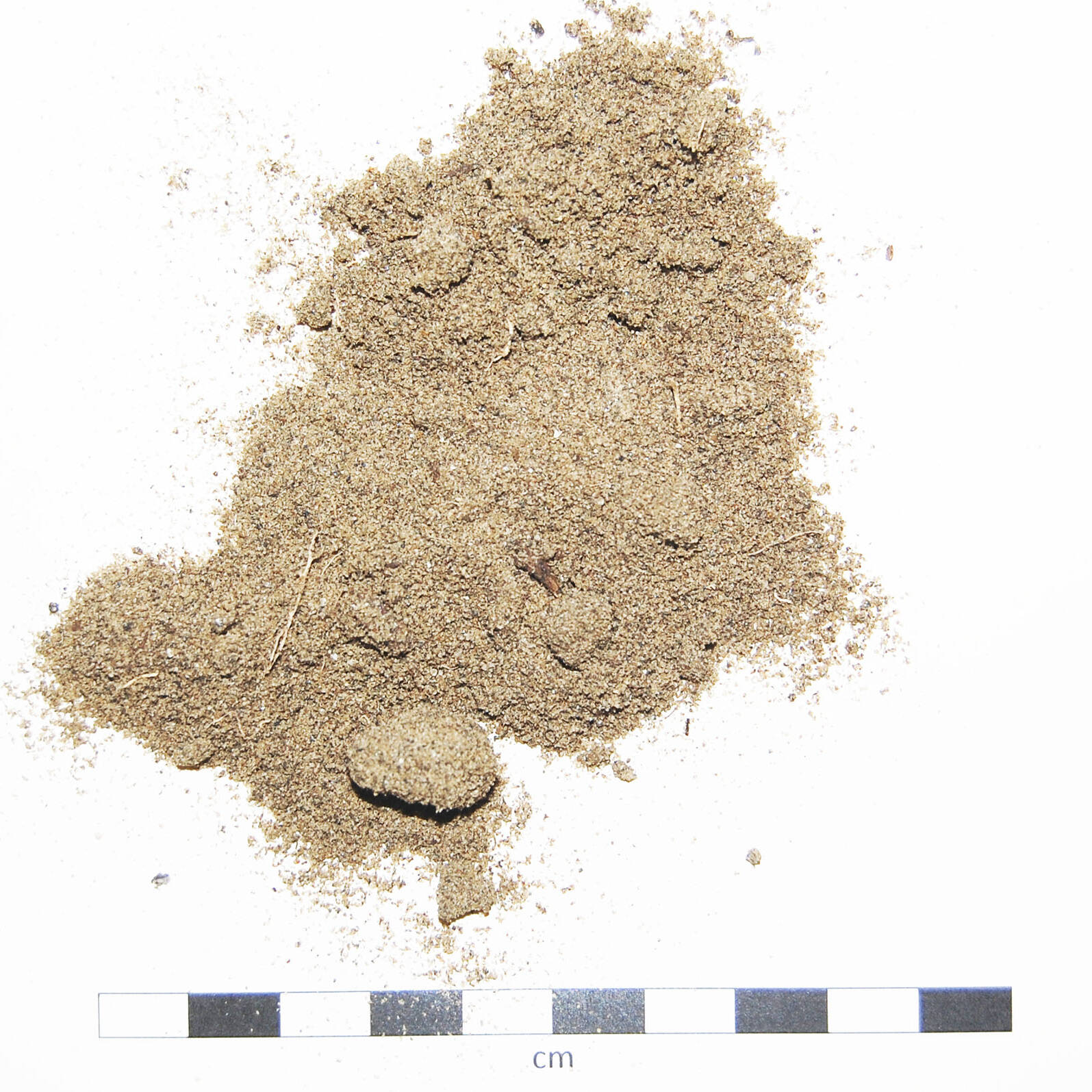 Soil sand degraded suolo sabbioso degradato ricostituzione uai Soil sand degraded suolo sabbioso degradato ricostituzione 22. Ricerca e sviluppo 2019 – 2020 Ricerca e sviluppo Soil sand degraded suolo sabbioso degradato ricostituzione uai Soil sand degraded suolo sabbioso degradato ricostituzione ECOSISTEMI Ricerca e sviluppo