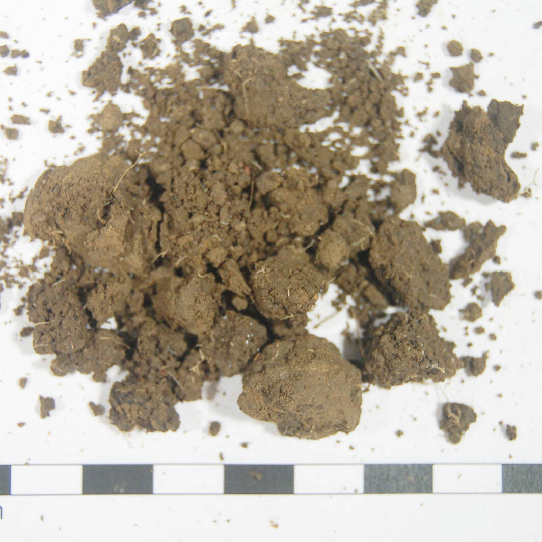 Suolo analisi terreni m.c.m. Ecosistemi laboratorio soil analysis Gariga uai Suolo analisi terreni m.c.m. Ecosistemi laboratorio soil analysis Gariga 25. Fondazione Azienda Agricola Sperimentale 2023 Azienda Agricola Sperimentale Suolo analisi terreni m.c.m. Ecosistemi laboratorio soil analysis Gariga uai Suolo analisi terreni m.c.m. Ecosistemi laboratorio soil analysis Gariga ECOSISTEMI Azienda Agricola Sperimentale