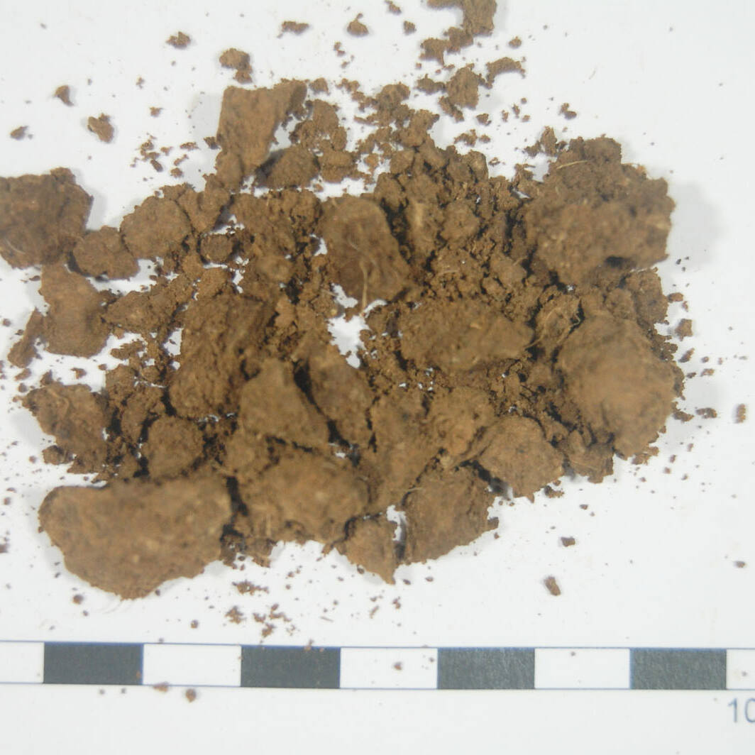 Suolo analisi terreni m.c.m. Ecosistemi laboratorio soil analysis Piacenza uai Suolo analisi terreni m.c.m. Ecosistemi laboratorio soil analysis Piacenza 25. Fondazione Azienda Agricola Sperimentale 2023 Azienda Agricola Sperimentale Suolo analisi terreni m.c.m. Ecosistemi laboratorio soil analysis Piacenza uai Suolo analisi terreni m.c.m. Ecosistemi laboratorio soil analysis Piacenza ECOSISTEMI Azienda Agricola Sperimentale