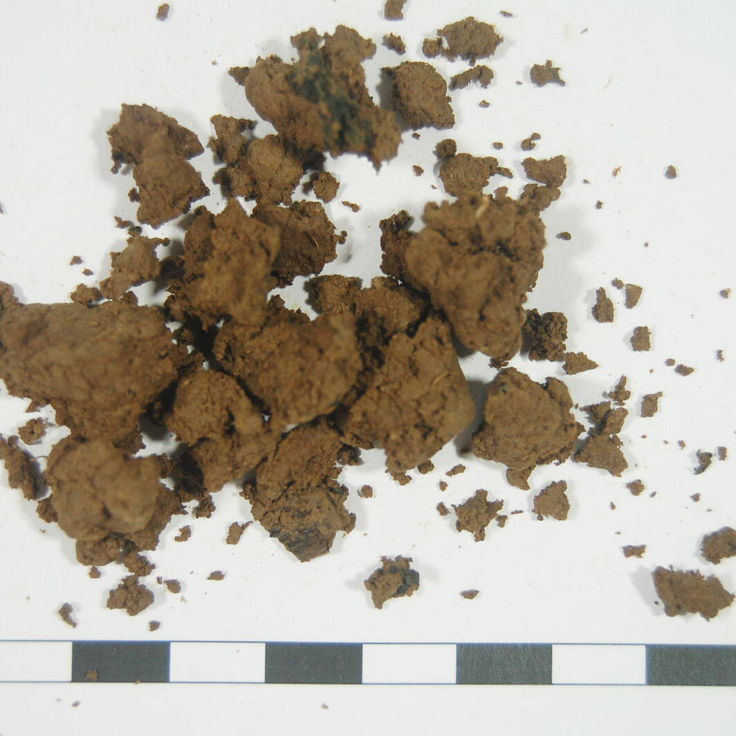 Suolo analisi terreni m.c.m. Ecosistemi laboratorio soil analysis Podenzano uai Suolo analisi terreni m.c.m. Ecosistemi laboratorio soil analysis Podenzano 25. Fondazione Azienda Agricola Sperimentale 2023 Azienda Agricola Sperimentale Suolo analisi terreni m.c.m. Ecosistemi laboratorio soil analysis Podenzano uai Suolo analisi terreni m.c.m. Ecosistemi laboratorio soil analysis Podenzano ECOSISTEMI Azienda Agricola Sperimentale