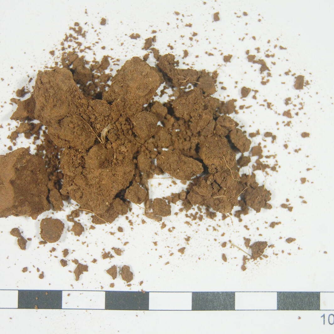 Suolo analisi terreni m.c.m. Ecosistemi laboratorio soil analysis agricoltura uai Suolo analisi terreni m.c.m. Ecosistemi laboratorio soil analysis agricoltura 25. Fondazione Azienda Agricola Sperimentale 2023 Azienda Agricola Sperimentale Suolo analisi terreni m.c.m. Ecosistemi laboratorio soil analysis agricoltura uai Suolo analisi terreni m.c.m. Ecosistemi laboratorio soil analysis agricoltura ECOSISTEMI Azienda Agricola Sperimentale