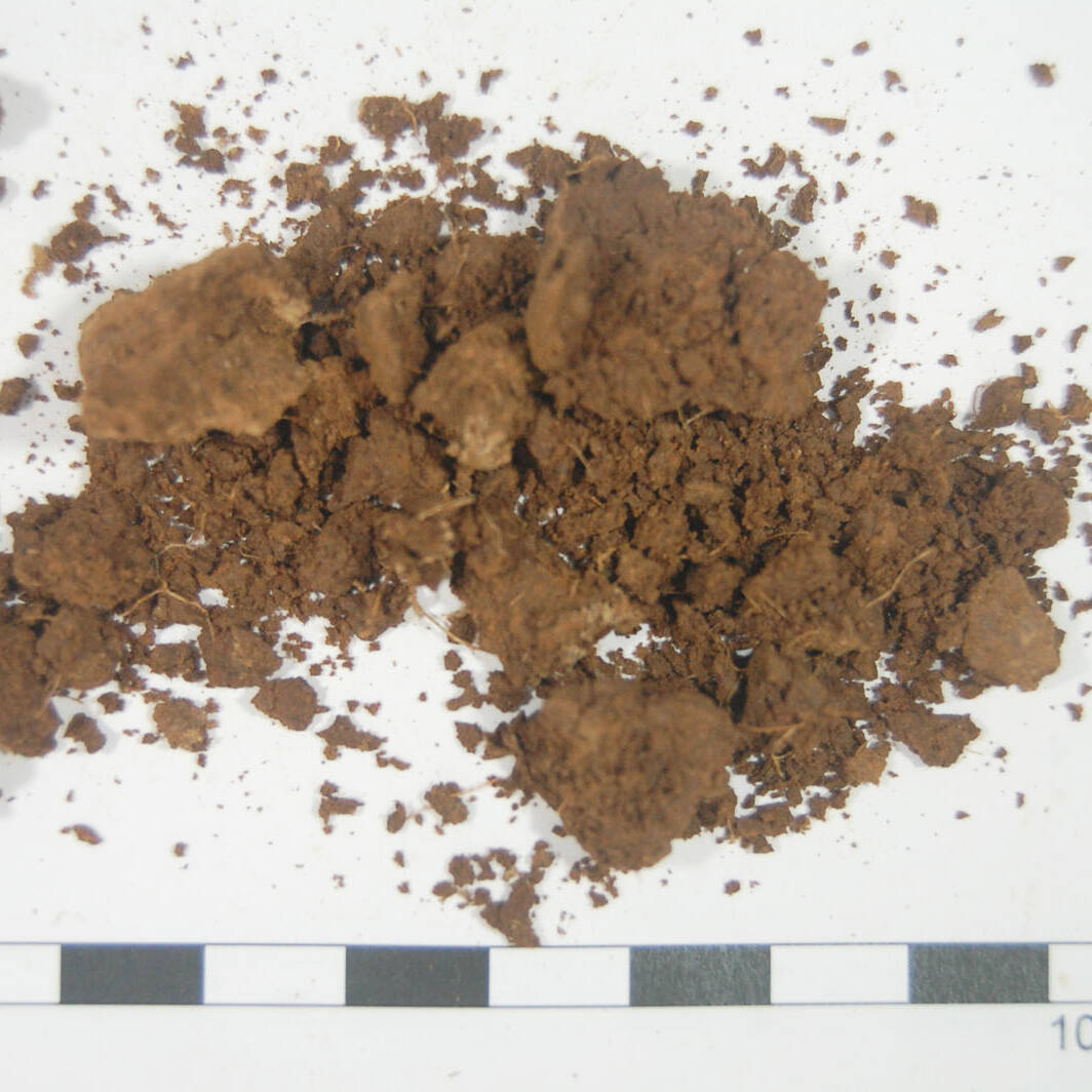 Suolo analisi terreni m.c.m. Ecosistemi laboratorio soil analysis azoto uai Suolo analisi terreni m.c.m. Ecosistemi laboratorio soil analysis azoto 25. Fondazione Azienda Agricola Sperimentale 2023 Azienda Agricola Sperimentale Suolo analisi terreni m.c.m. Ecosistemi laboratorio soil analysis azoto uai Suolo analisi terreni m.c.m. Ecosistemi laboratorio soil analysis azoto ECOSISTEMI Azienda Agricola Sperimentale