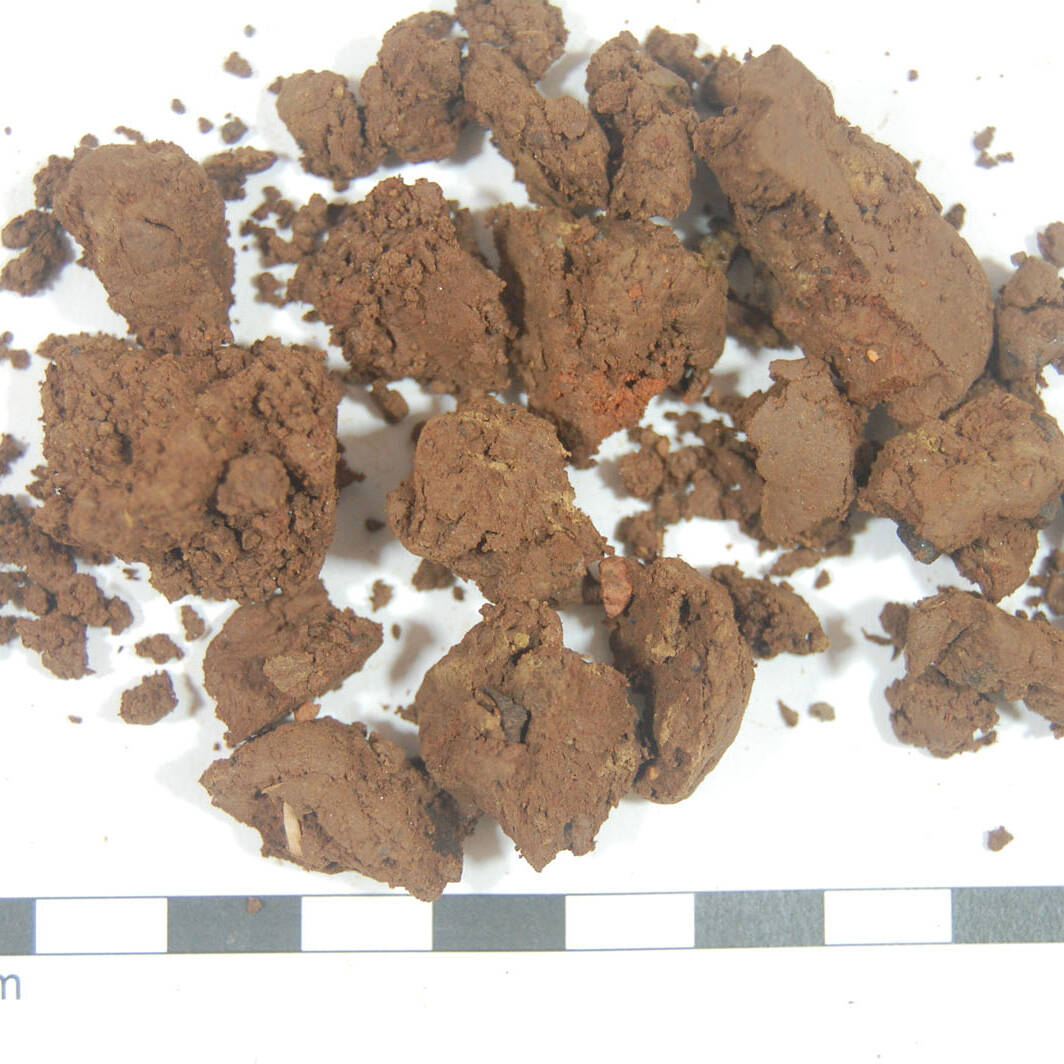 Suolo analisi terreni m.c.m. Ecosistemi laboratorio soil analysis carbonio uai Suolo analisi terreni m.c.m. Ecosistemi laboratorio soil analysis carbonio 25. Fondazione Azienda Agricola Sperimentale 2023 Azienda Agricola Sperimentale Suolo analisi terreni m.c.m. Ecosistemi laboratorio soil analysis carbonio uai Suolo analisi terreni m.c.m. Ecosistemi laboratorio soil analysis carbonio ECOSISTEMI Azienda Agricola Sperimentale
