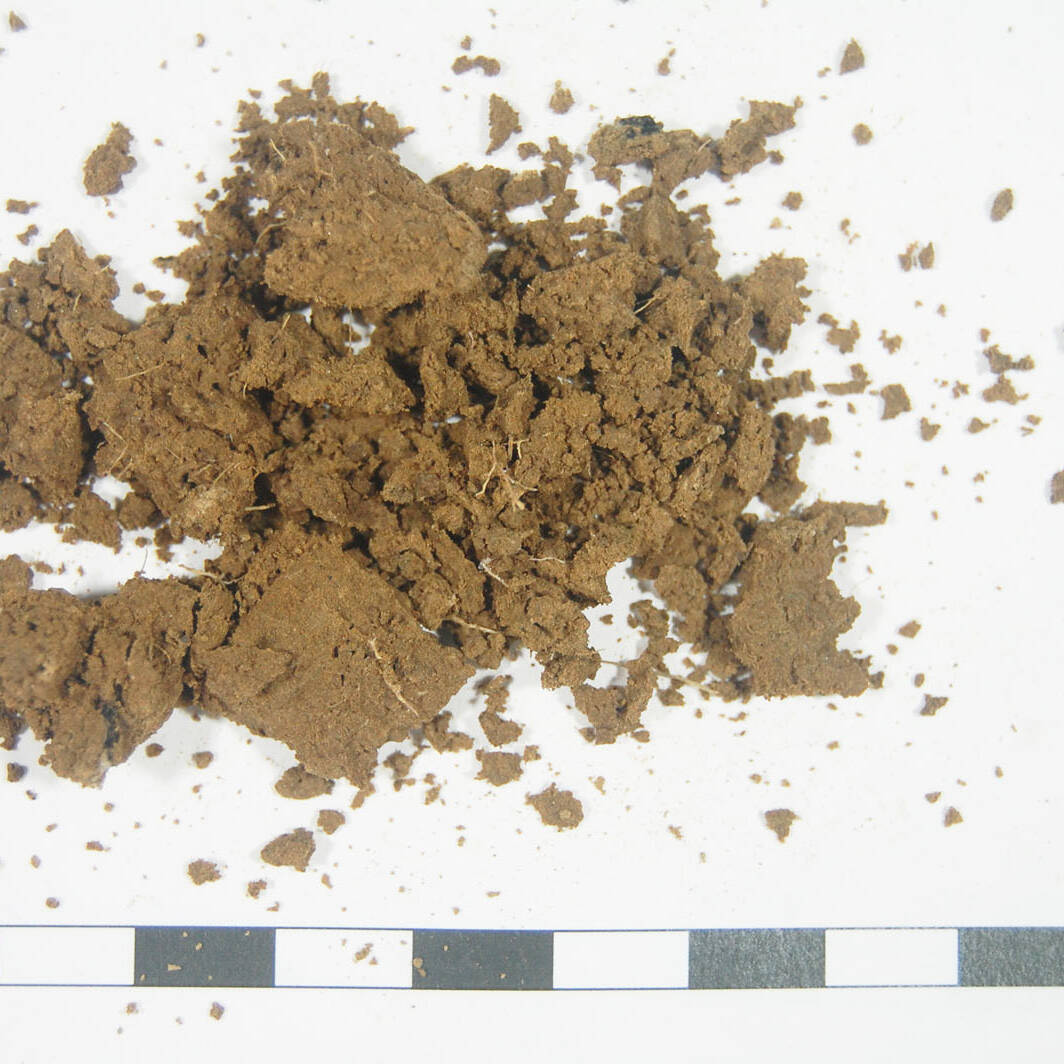 Suolo analisi terreni m.c.m. Ecosistemi laboratorio soil analysis ferro uai Suolo analisi terreni m.c.m. Ecosistemi laboratorio soil analysis ferro 25. Fondazione Azienda Agricola Sperimentale 2023 Azienda Agricola Sperimentale Suolo analisi terreni m.c.m. Ecosistemi laboratorio soil analysis ferro uai Suolo analisi terreni m.c.m. Ecosistemi laboratorio soil analysis ferro ECOSISTEMI Azienda Agricola Sperimentale