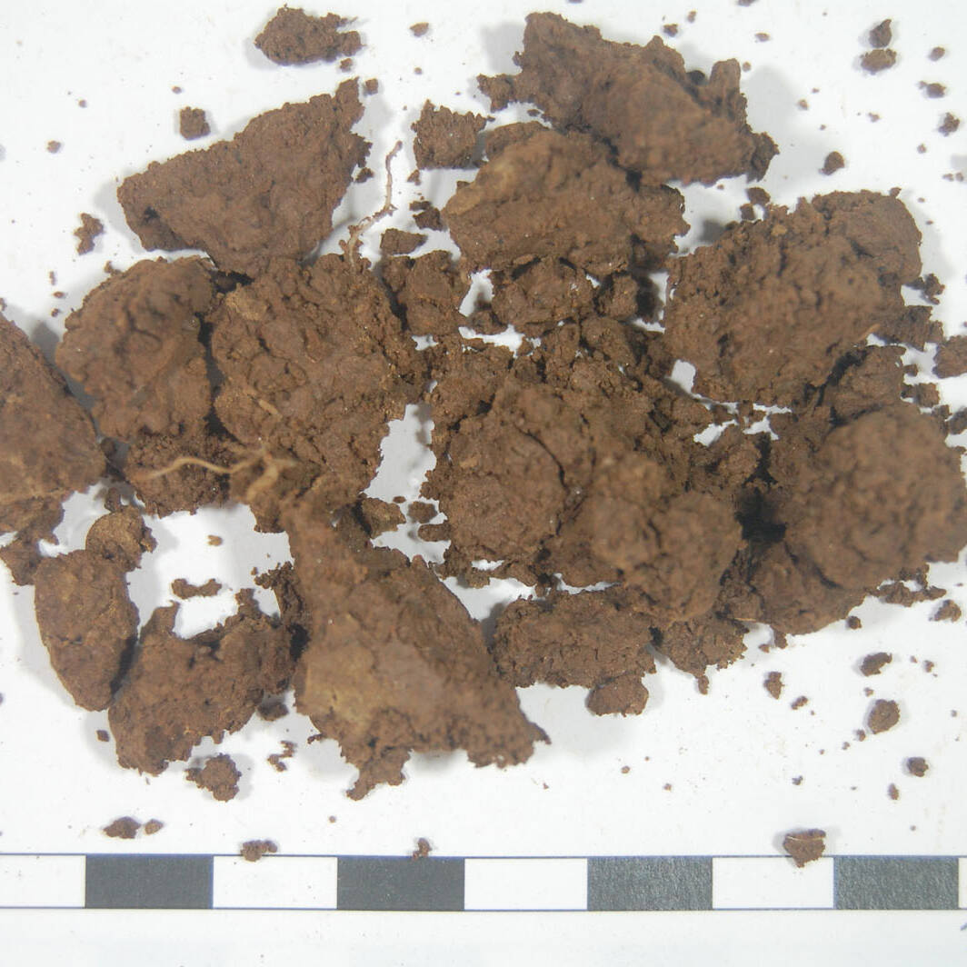 Suolo analisi terreni m.c.m. Ecosistemi laboratorio soil analysis fertilita uai Suolo analisi terreni m.c.m. Ecosistemi laboratorio soil analysis fertilità 25. Fondazione Azienda Agricola Sperimentale 2023 Azienda Agricola Sperimentale Suolo analisi terreni m.c.m. Ecosistemi laboratorio soil analysis fertilita uai Suolo analisi terreni m.c.m. Ecosistemi laboratorio soil analysis fertilità ECOSISTEMI Azienda Agricola Sperimentale