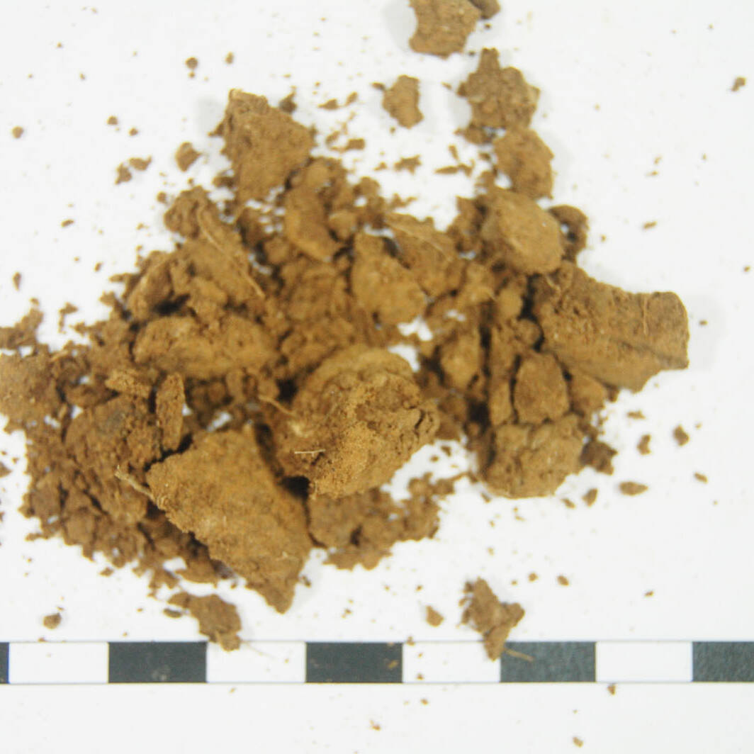 Suolo analisi terreni m.c.m. Ecosistemi laboratorio soil analysis potassio uai Suolo analisi terreni m.c.m. Ecosistemi laboratorio soil analysis potassio 25. Fondazione Azienda Agricola Sperimentale 2023 Azienda Agricola Sperimentale Suolo analisi terreni m.c.m. Ecosistemi laboratorio soil analysis potassio uai Suolo analisi terreni m.c.m. Ecosistemi laboratorio soil analysis potassio ECOSISTEMI Azienda Agricola Sperimentale