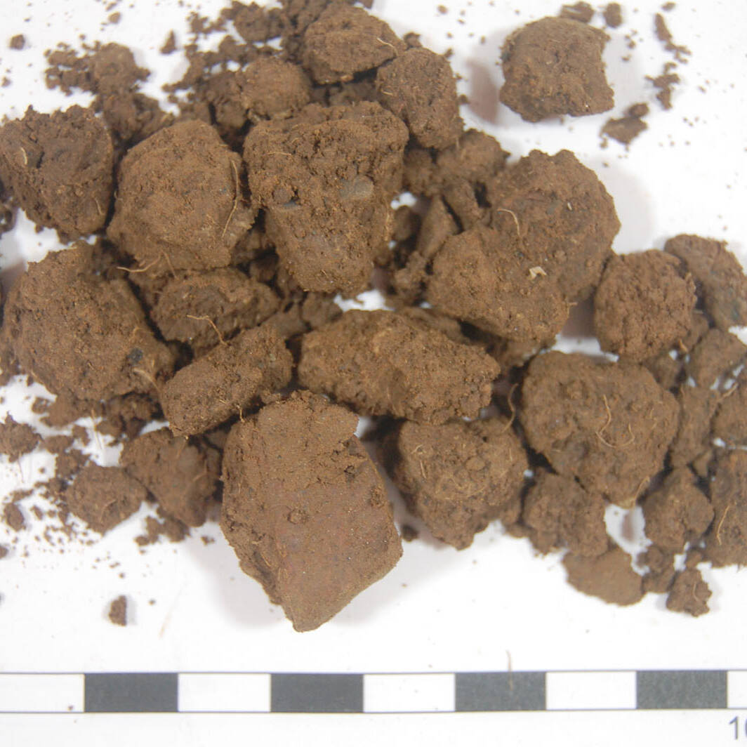 Suolo analisi terreni m.c.m. Ecosistemi laboratorio soil analysis sabbiosi uai Suolo analisi terreni m.c.m. Ecosistemi laboratorio soil analysis sabbiosi 25. Fondazione Azienda Agricola Sperimentale 2023 Azienda Agricola Sperimentale Suolo analisi terreni m.c.m. Ecosistemi laboratorio soil analysis sabbiosi uai Suolo analisi terreni m.c.m. Ecosistemi laboratorio soil analysis sabbiosi ECOSISTEMI Azienda Agricola Sperimentale