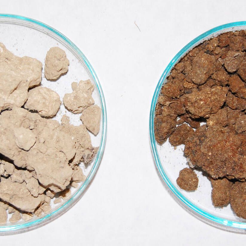 Suolo degradato ricostituito soil degraded reconstituted Anthrosols Мелиорация uai Suolo degradato ricostituito soil degraded reconstituted Anthrosols Мелиорация ECOSISTEMI Finanziamento UE New Life