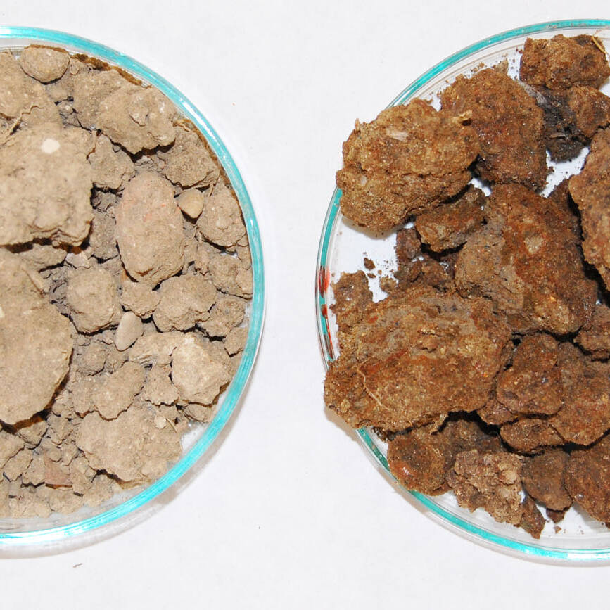 Suolo degradato ricostituito soil degraded reconstituted التصحر uai Suolo degradato ricostituito soil degraded reconstituted التصحر ECOSISTEMI Finanziamento UE New Life