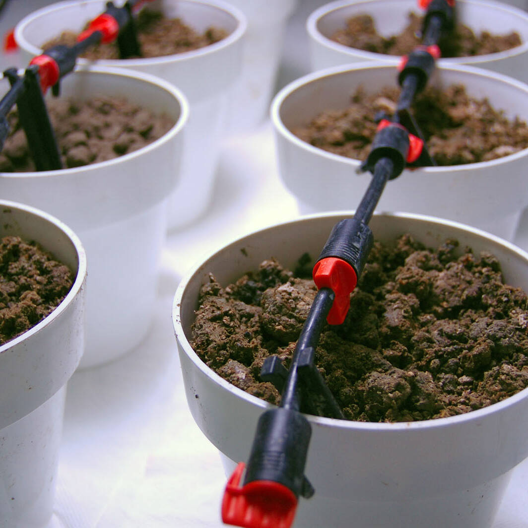 Test germinazione crescita germination growth soil reconstituited suoli ricostituiti uai Test germinazione crescita germination growth soil reconstituited suoli ricostituiti 18. Sovrasuoli ricostituiti 2017 Sovrasuoli ricostituiti Test germinazione crescita germination growth soil reconstituited suoli ricostituiti uai Test germinazione crescita germination growth soil reconstituited suoli ricostituiti ECOSISTEMI Sovrasuoli ricostituiti