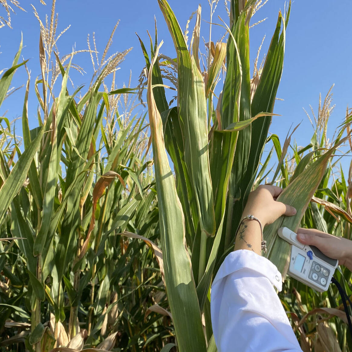 m.c.m. Ecosistemi Fertilia ricerca agricoltura research argricoltural Piacenza uai m.c.m. Ecosistemi Fertilia ricerca agricoltura research argricoltural Piacenza 27. Partecipazioni accademiche 2023 – 2024 Azienda Agricola sperimentale m.c.m. Ecosistemi Fertilia ricerca agricoltura research argricoltural Piacenza uai m.c.m. Ecosistemi Fertilia ricerca agricoltura research argricoltural Piacenza ECOSISTEMI Azienda Agricola sperimentale