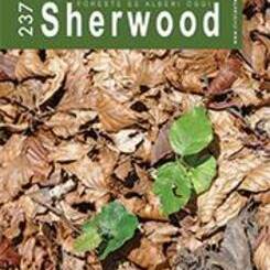 thumbnail 3 uai ARTICOLO SULLA RIVISTA FORESTALE SHERWOOD ECOSISTEMI