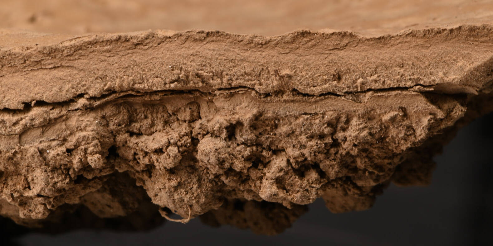 Crosta suolo naturale maggio 2023 uai Crosta suolo naturale maggio 2023 ECOSISTEMI Propriet&agrave; della fertilit&agrave; fisica
