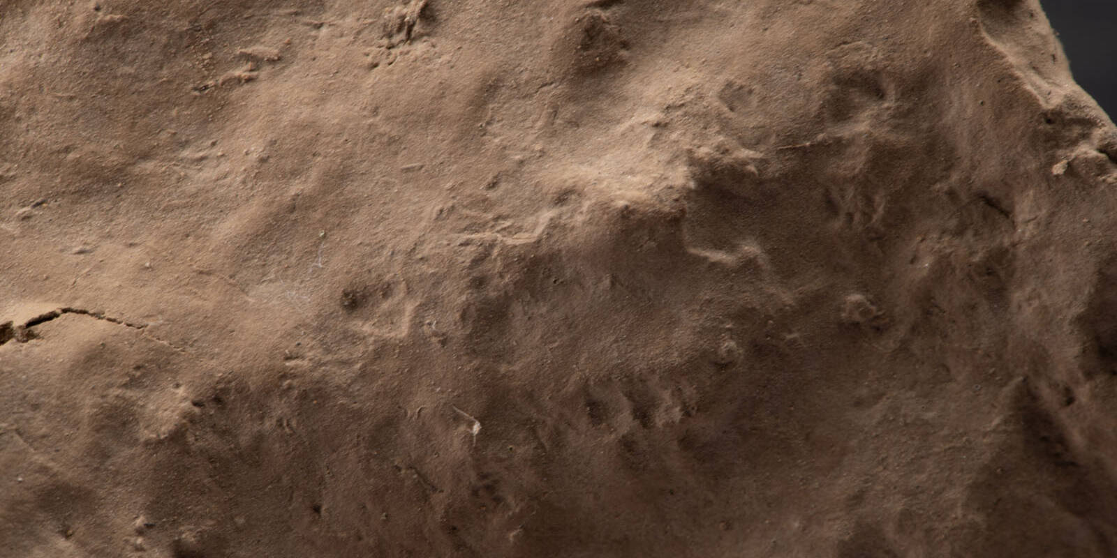 Croste superfice naturale uai Croste superfice naturale ECOSISTEMI Propriet&agrave; della fertilit&agrave; fisica