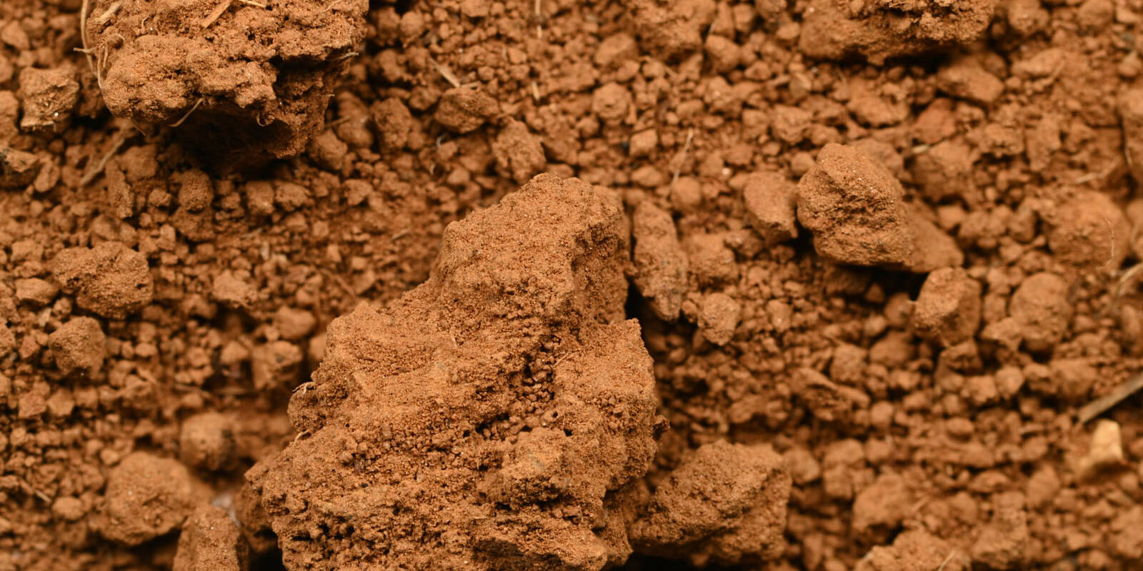 Terreno naturale 6145 a ARadius28Smoothing3 uai Terreno naturale 6145 a (A,Radius28,Smoothing3) ECOSISTEMI propriet&agrave; dei suoli