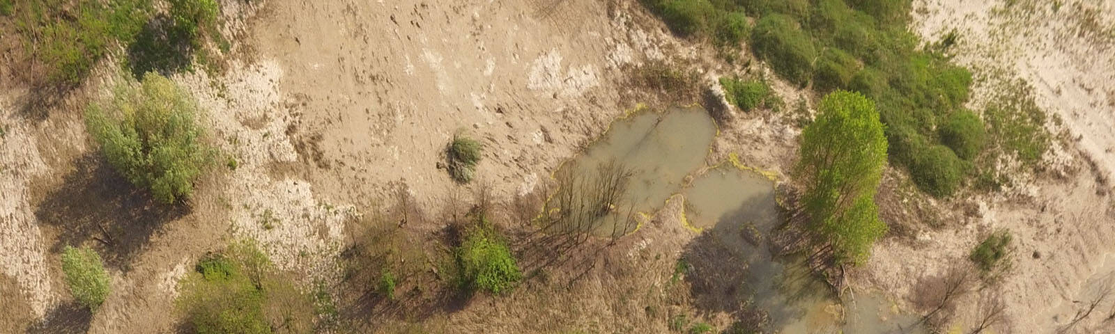 ghi uai 7. Tipologie di interventi della ricostituzione dei suoli nel settore agrario e forestale capacità d’uso dei suoli ghi uai ECOSISTEMI capacità d’uso dei suoli