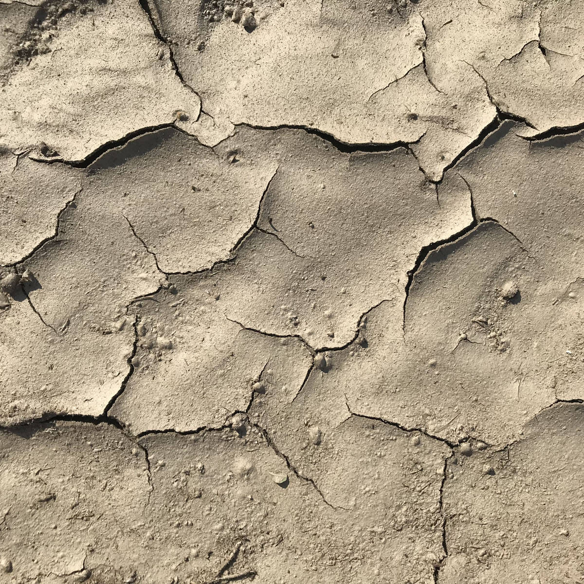 Deposito sedimenti su suoli agricoli Ecosistemi Piacenza laboratorio analisi uai Deposito sedimenti su suoli agricoli Ecosistemi Piacenza laboratorio analisi Ecologia del suolo Conservazione Ecologia del suolo Deposito sedimenti su suoli agricoli Ecosistemi Piacenza laboratorio analisi uai Deposito sedimenti su suoli agricoli Ecosistemi Piacenza laboratorio analisi ECOSISTEMI Ecologia del suolo