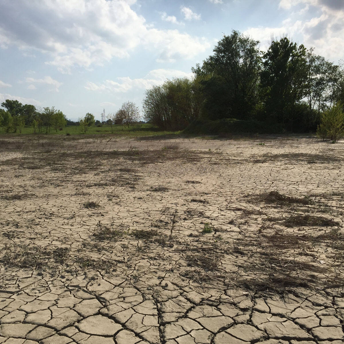 Deposito sedimenti su suolo agrario laboratorio pedologico Ecosistemi Piacenza uai Deposito sedimenti su suolo agrario laboratorio pedologico Ecosistemi Piacenza Ecologia del suolo Conservazione Ecologia del suolo Deposito sedimenti su suolo agrario laboratorio pedologico Ecosistemi Piacenza uai Deposito sedimenti su suolo agrario laboratorio pedologico Ecosistemi Piacenza ECOSISTEMI Ecologia del suolo