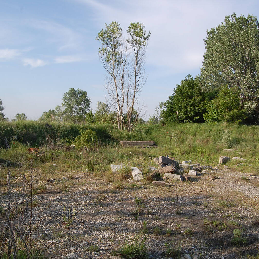 Ex cava inerti dismessa perdita suolo agrario laboratorio chimico Ecosistemi Piacenza uai Ex cava inerti dismessa perdita suolo agrario laboratorio chimico Ecosistemi Piacenza Ecologia del suolo Conservazione Ecologia del suolo Ex cava inerti dismessa perdita suolo agrario laboratorio chimico Ecosistemi Piacenza uai Ex cava inerti dismessa perdita suolo agrario laboratorio chimico Ecosistemi Piacenza ECOSISTEMI Ecologia del suolo
