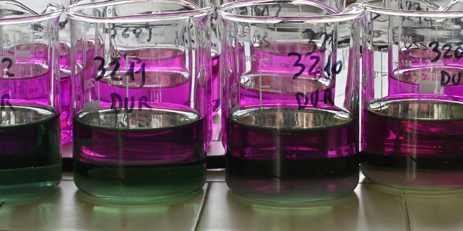 Laboratorio analisi chimiche fertilizzanti terreni mcm Ecosistemi Piacenza uai Laboratorio analisi chimiche fertilizzanti terreni mcm Ecosistemi Piacenza Analisi sulla fertilità dei suoli analisi sulla fertilità dei suoli Laboratorio analisi chimiche fertilizzanti terreni mcm Ecosistemi Piacenza uai Laboratorio analisi chimiche fertilizzanti terreni mcm Ecosistemi Piacenza ECOSISTEMI analisi sulla fertilità dei suoli