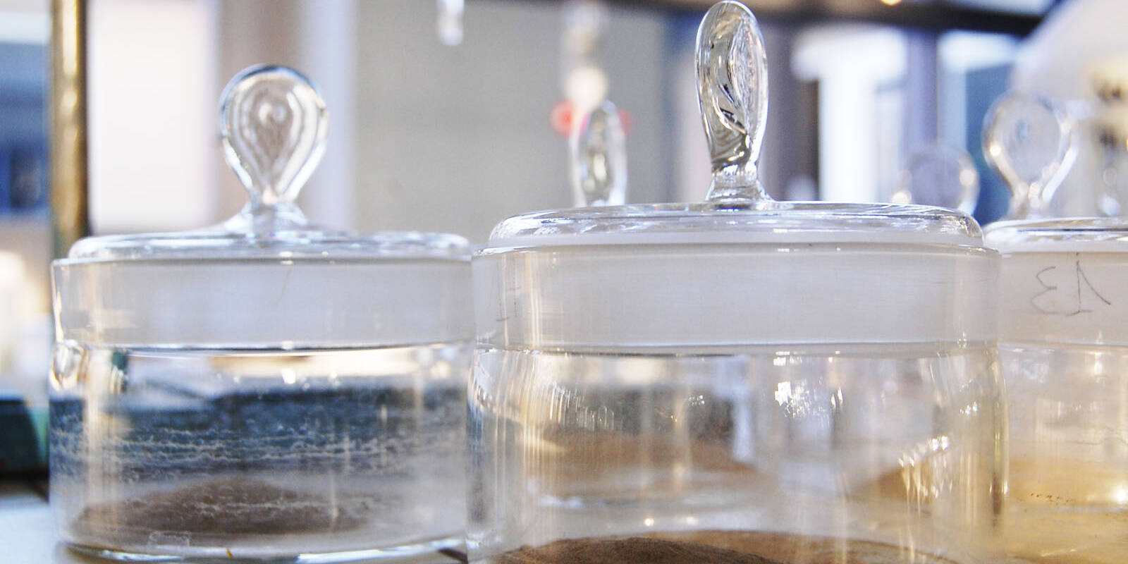 Parametri fisici suoli laboratorio analisi Ecosistemi Piacenza uai Parametri fisici suoli laboratorio analisi Ecosistemi Piacenza ECOSISTEMI suoli agrari,suoli forestali