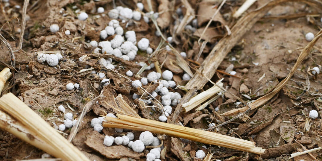 Piani di concimazione laboratorio analisi chimiche agrarie terreni mcm Ecosistemi Piacenza uai Piani di concimazione laboratorio analisi chimiche agrarie terreni mcm Ecosistemi Piacenza ECOSISTEMI Analisi dei terreni per i piani di concimazione