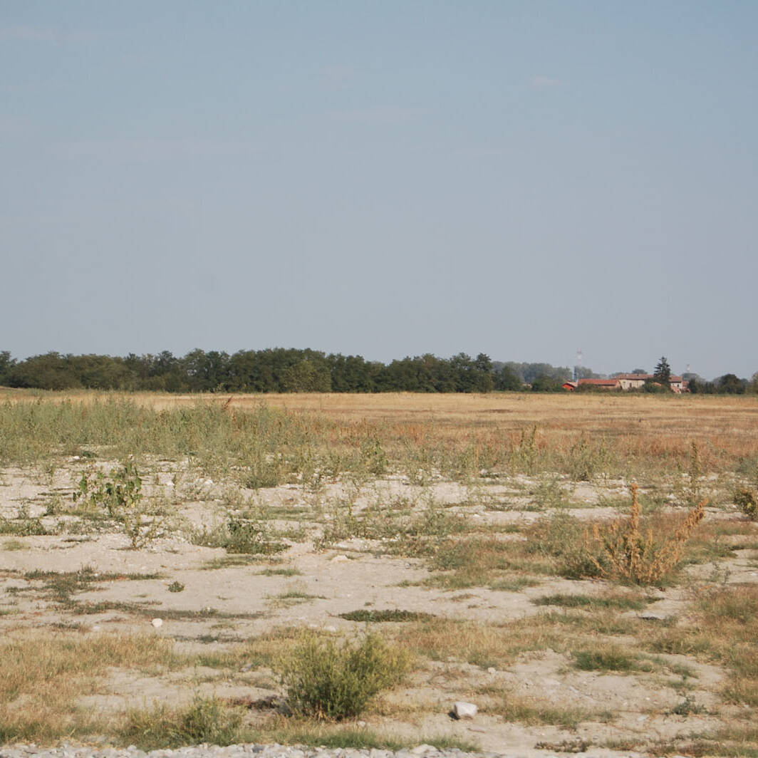 Processo di desertificazione laboratorio Ecosistemi analisi Piacenza carbonio organico uai Processo di desertificazione laboratorio Ecosistemi analisi Piacenza carbonio organico Ecologia del suolo Conservazione Ecologia del suolo Processo di desertificazione laboratorio Ecosistemi analisi Piacenza carbonio organico uai Processo di desertificazione laboratorio Ecosistemi analisi Piacenza carbonio organico ECOSISTEMI Ecologia del suolo